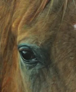 Art Original Oil  A Mare Study "Wisdom"