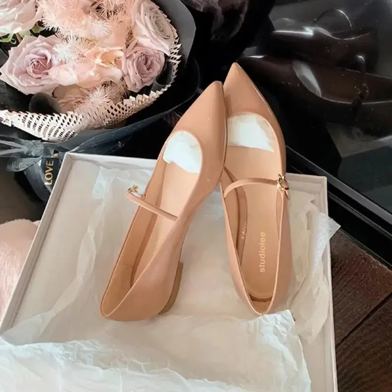 binfenxie  -  Fashion Pointed Toe Shallow Flat Heel Shoes Women 2024 Spring Autumn Buckle Shoes Ladies Moccasins Casual Sneaker Mujer