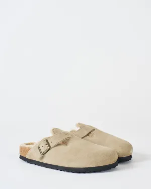 boston shearling