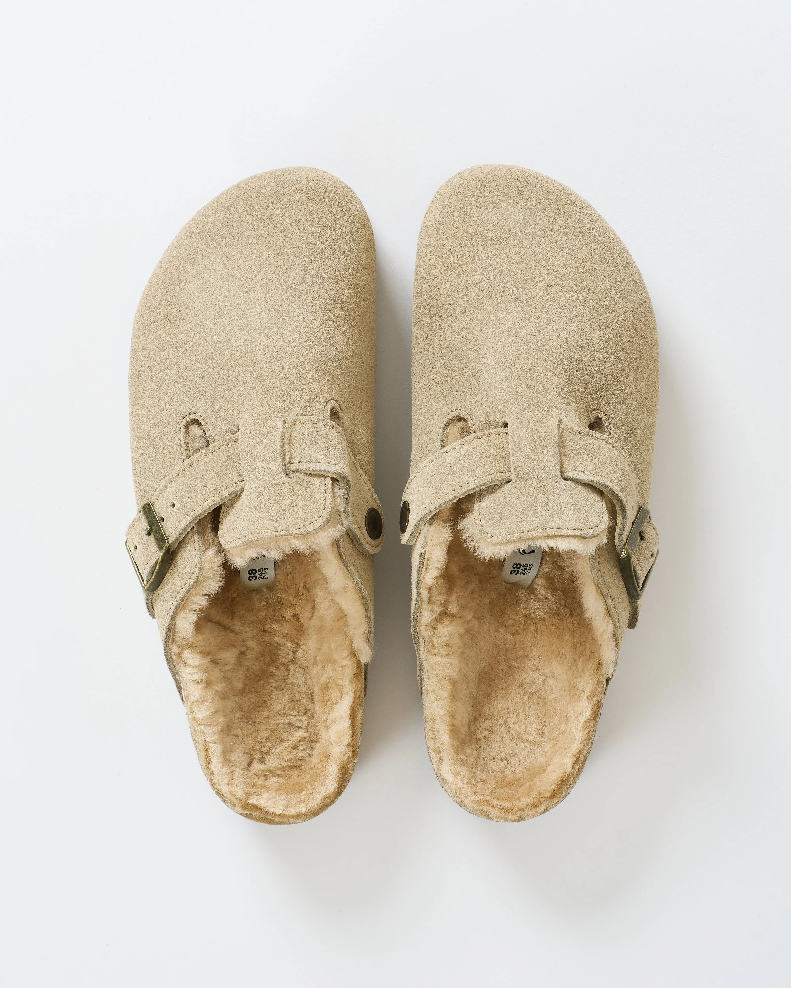boston shearling