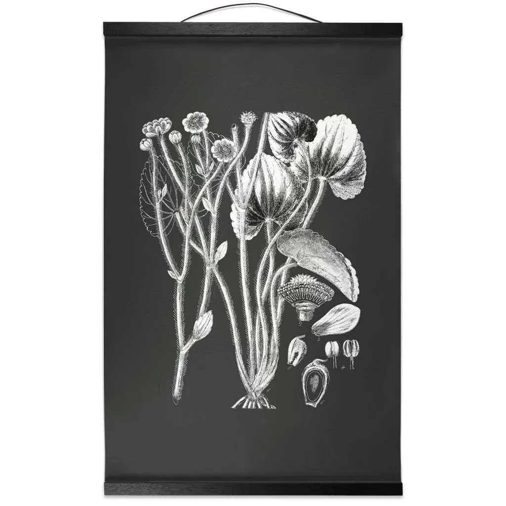 Botanical Illustration Hanging Canvas Print, Encyclopedia Art, Home Decor, Wall Art, Wall Hanging, Interior Decor, Home Accent, Art For Wall