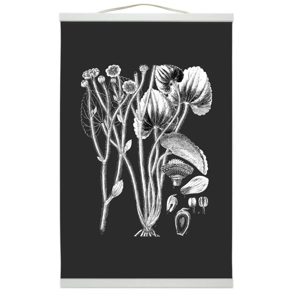 Botanical Illustration Hanging Canvas Print, Encyclopedia Art, Home Decor, Wall Art, Wall Hanging, Interior Decor, Home Accent, Art For Wall