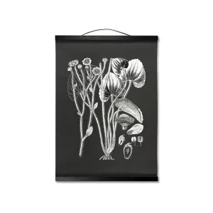 Botanical Illustration Hanging Canvas Print, Encyclopedia Art, Home Decor, Wall Art, Wall Hanging, Interior Decor, Home Accent, Art For Wall