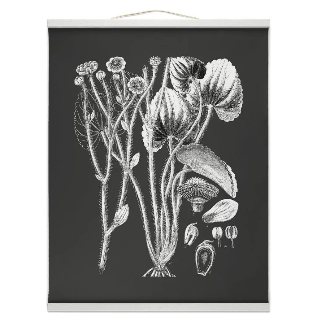 Botanical Illustration Hanging Canvas Print, Encyclopedia Art, Home Decor, Wall Art, Wall Hanging, Interior Decor, Home Accent, Art For Wall