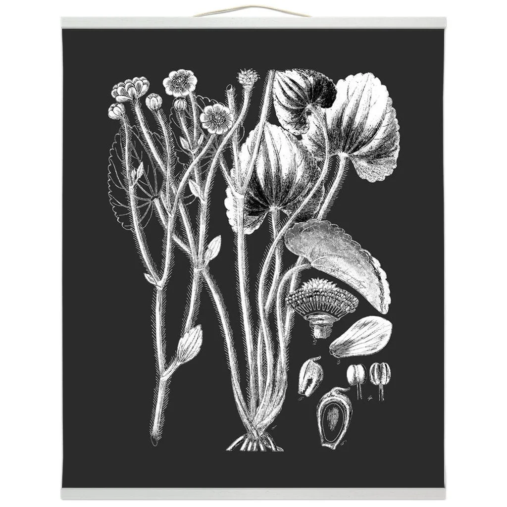 Botanical Illustration Hanging Canvas Print, Encyclopedia Art, Home Decor, Wall Art, Wall Hanging, Interior Decor, Home Accent, Art For Wall