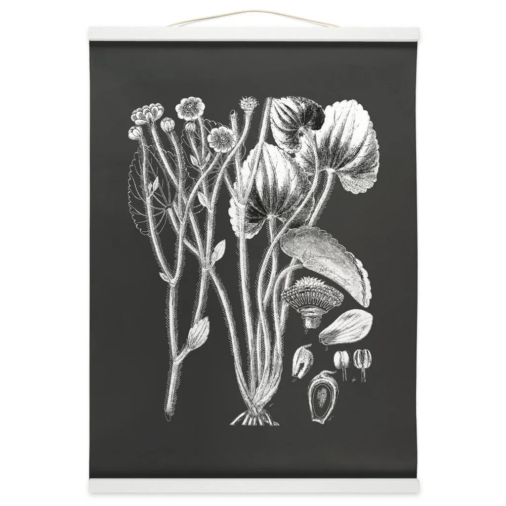 Botanical Illustration Hanging Canvas Print, Encyclopedia Art, Home Decor, Wall Art, Wall Hanging, Interior Decor, Home Accent, Art For Wall