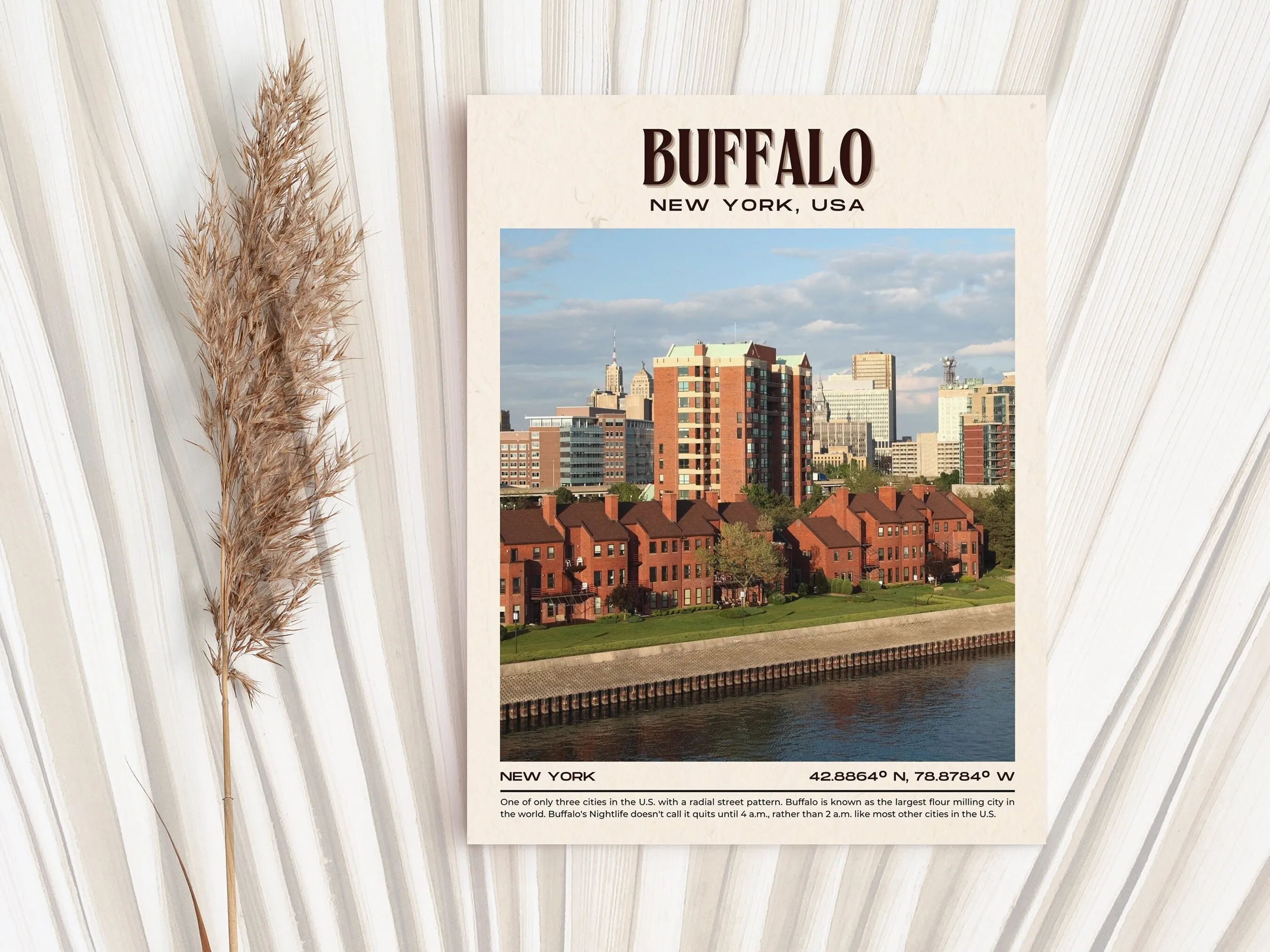 Buffalo Vintage Wall Art, New York, USA