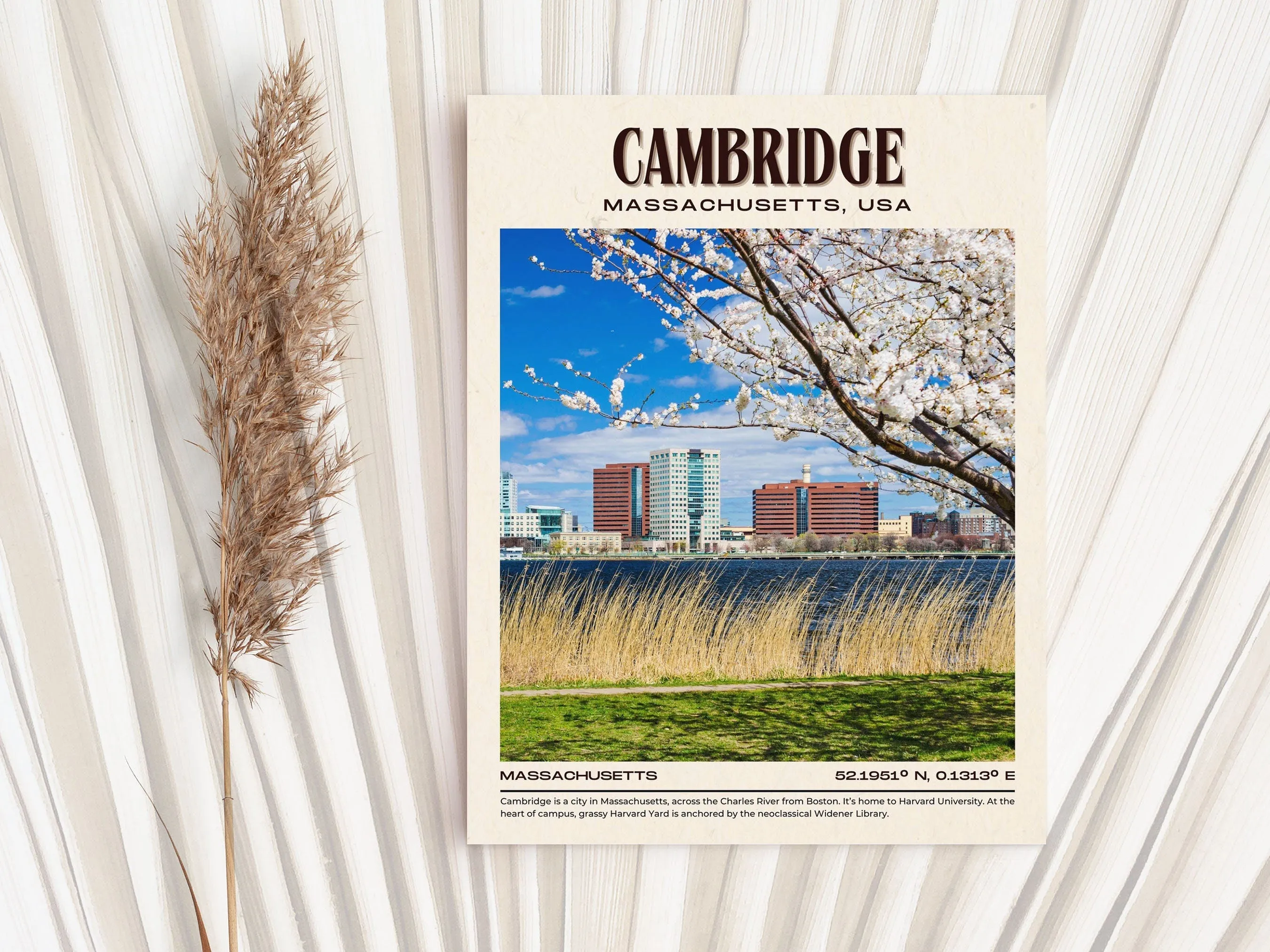 Cambridge Vintage Wall Art, Massachusettss, USA