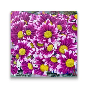 Chrysanthemums