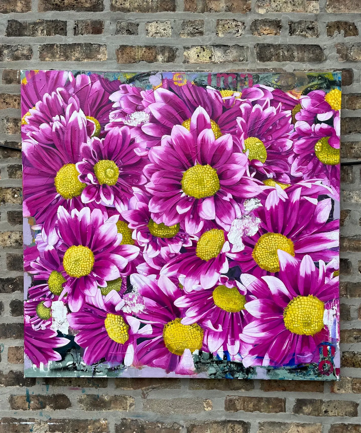 Chrysanthemums