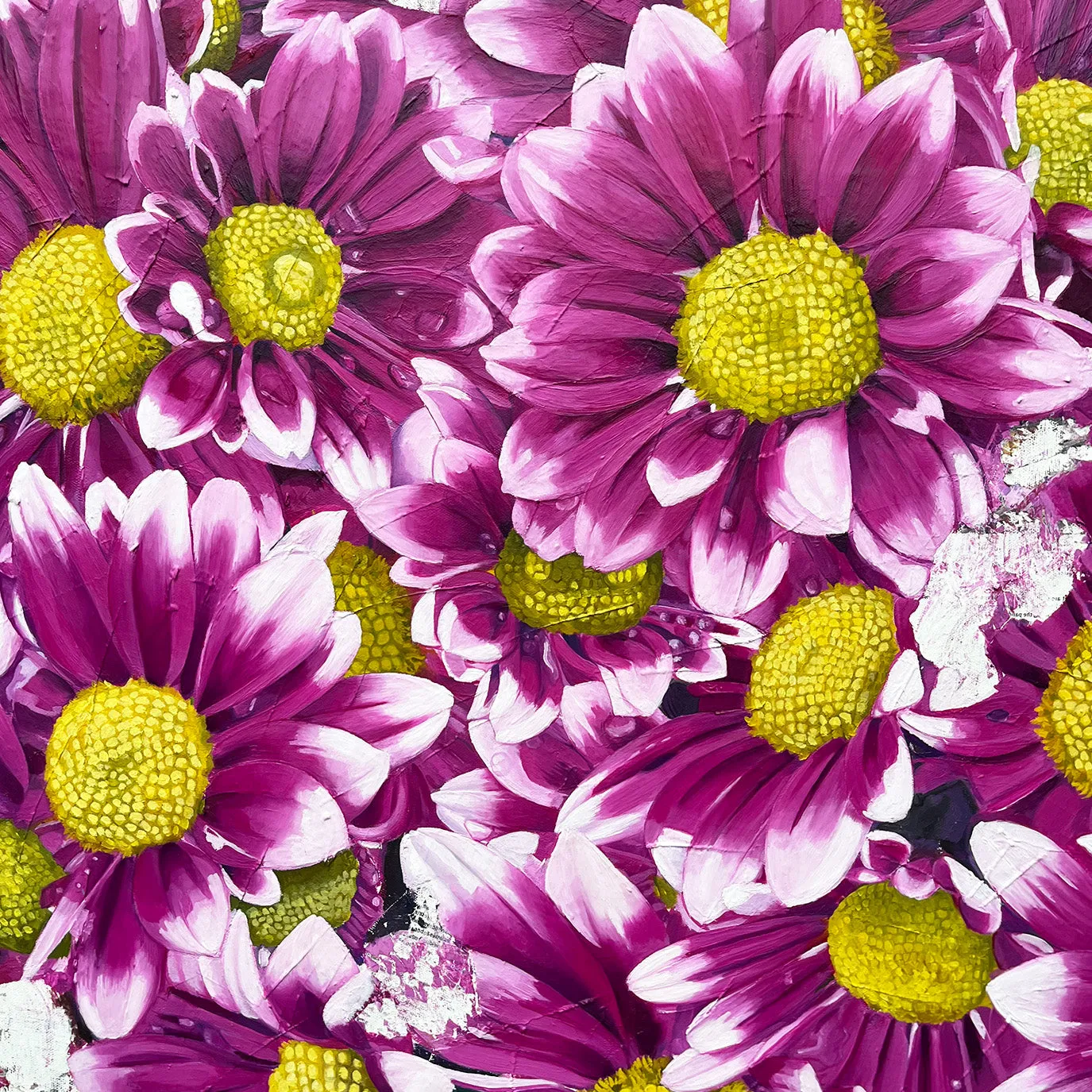 Chrysanthemums
