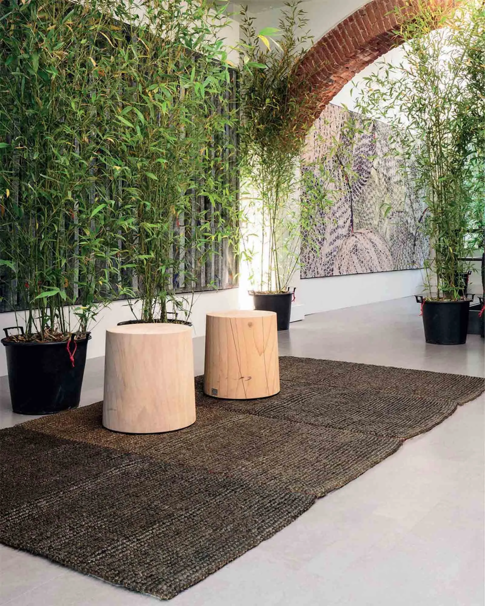 Coconutrug, Glassati - Rugs