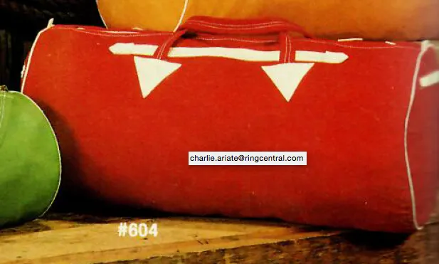 Cruising Comfort Compartment Bag