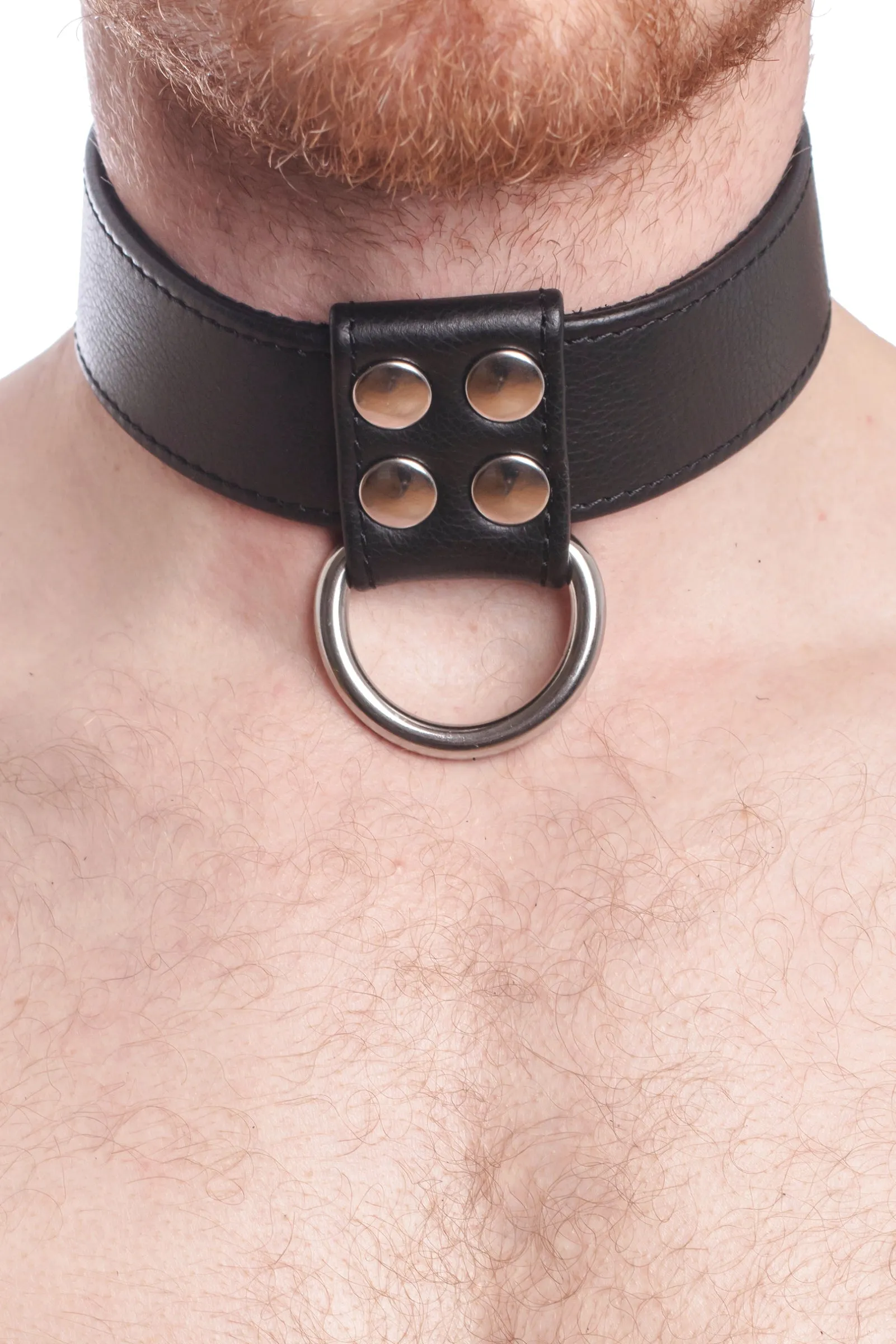 D-RING COLLAR - Stainless Steel