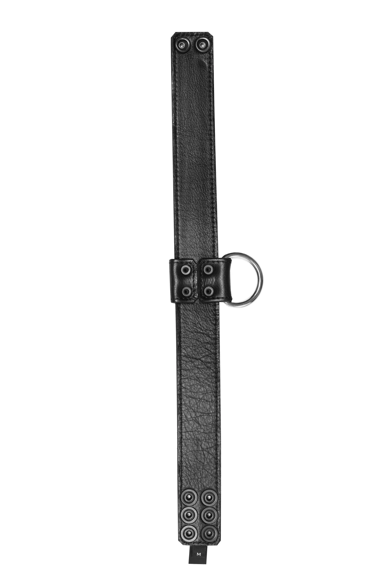 D-RING COLLAR - Stainless Steel