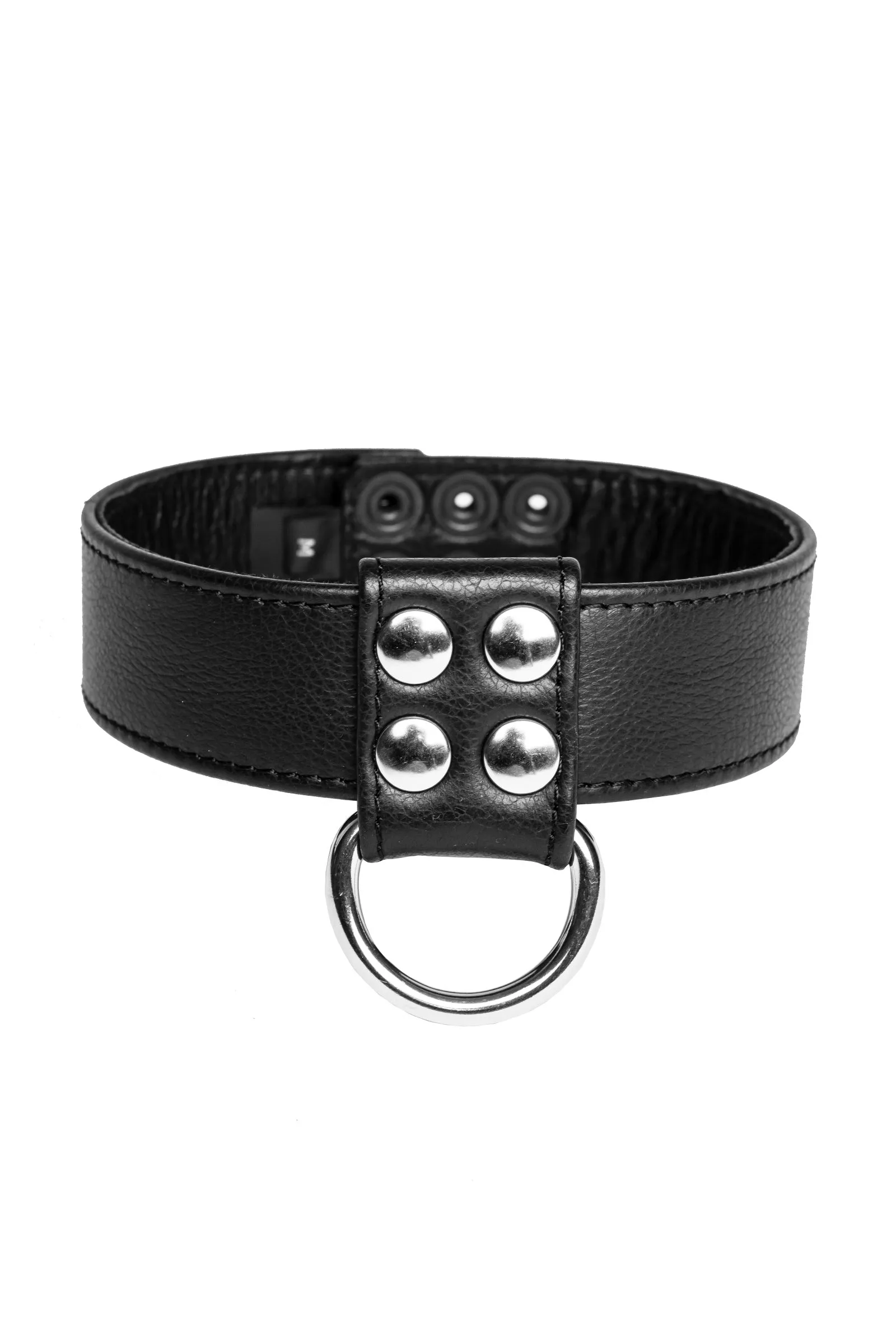D-RING COLLAR - Stainless Steel