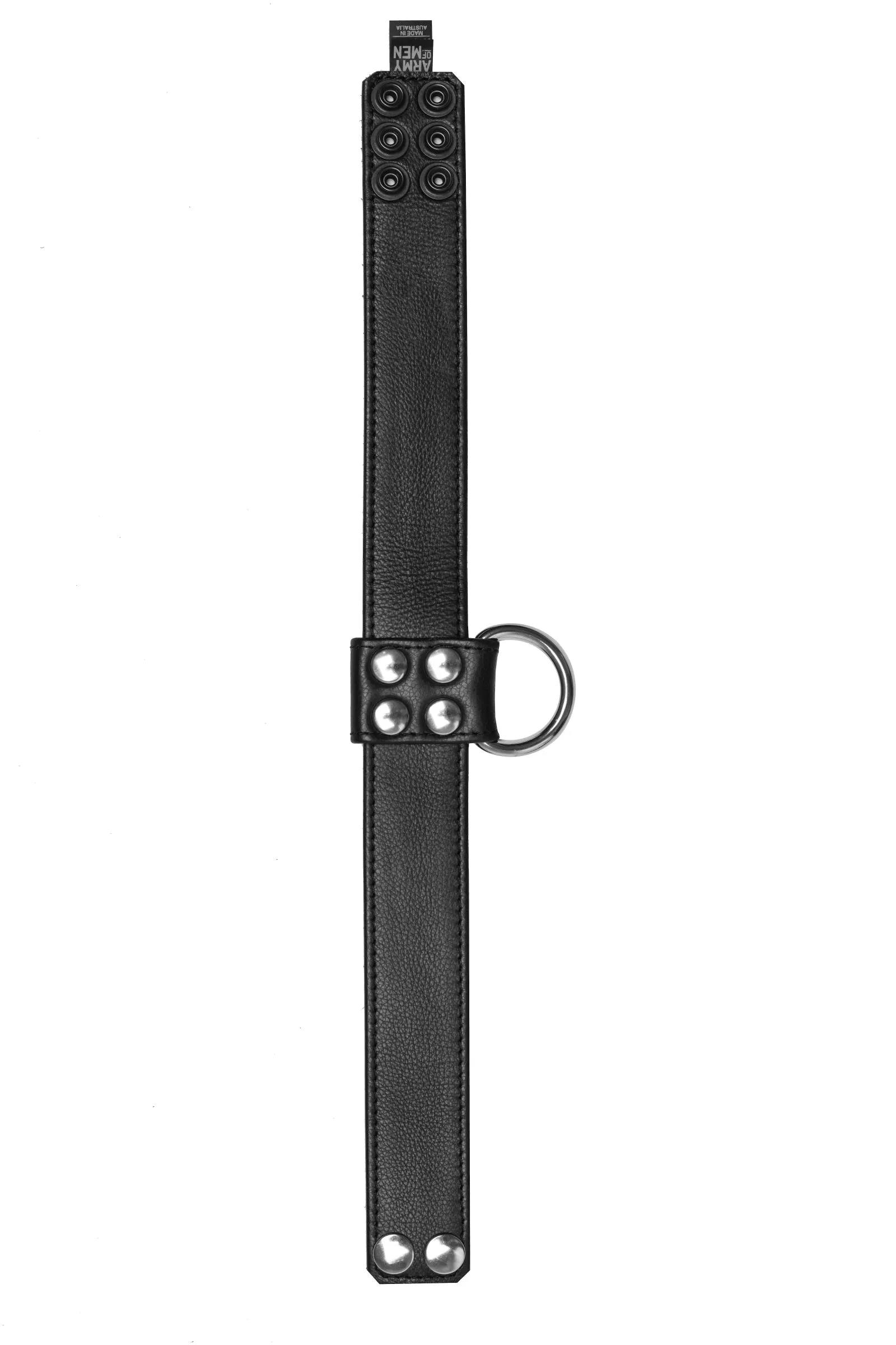 D-RING COLLAR - Stainless Steel