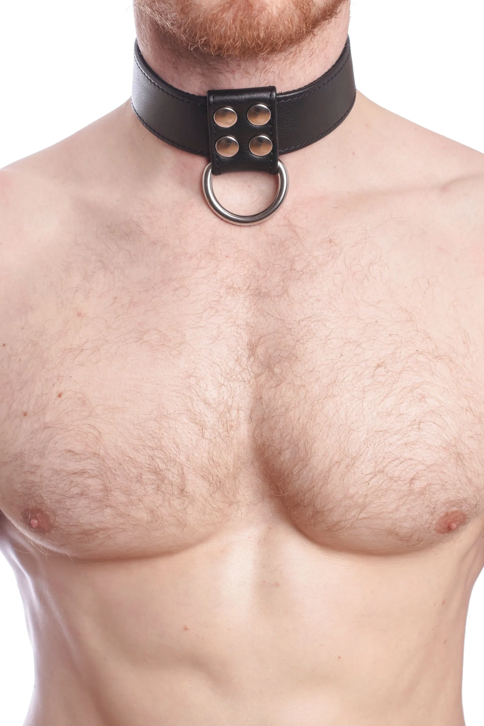 D-RING COLLAR - Stainless Steel