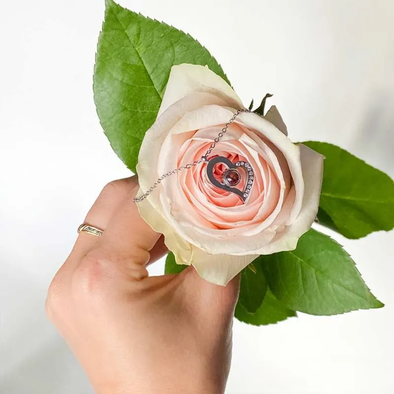 Elegant 16 Small Roses Jewelry Case With Pendant Set