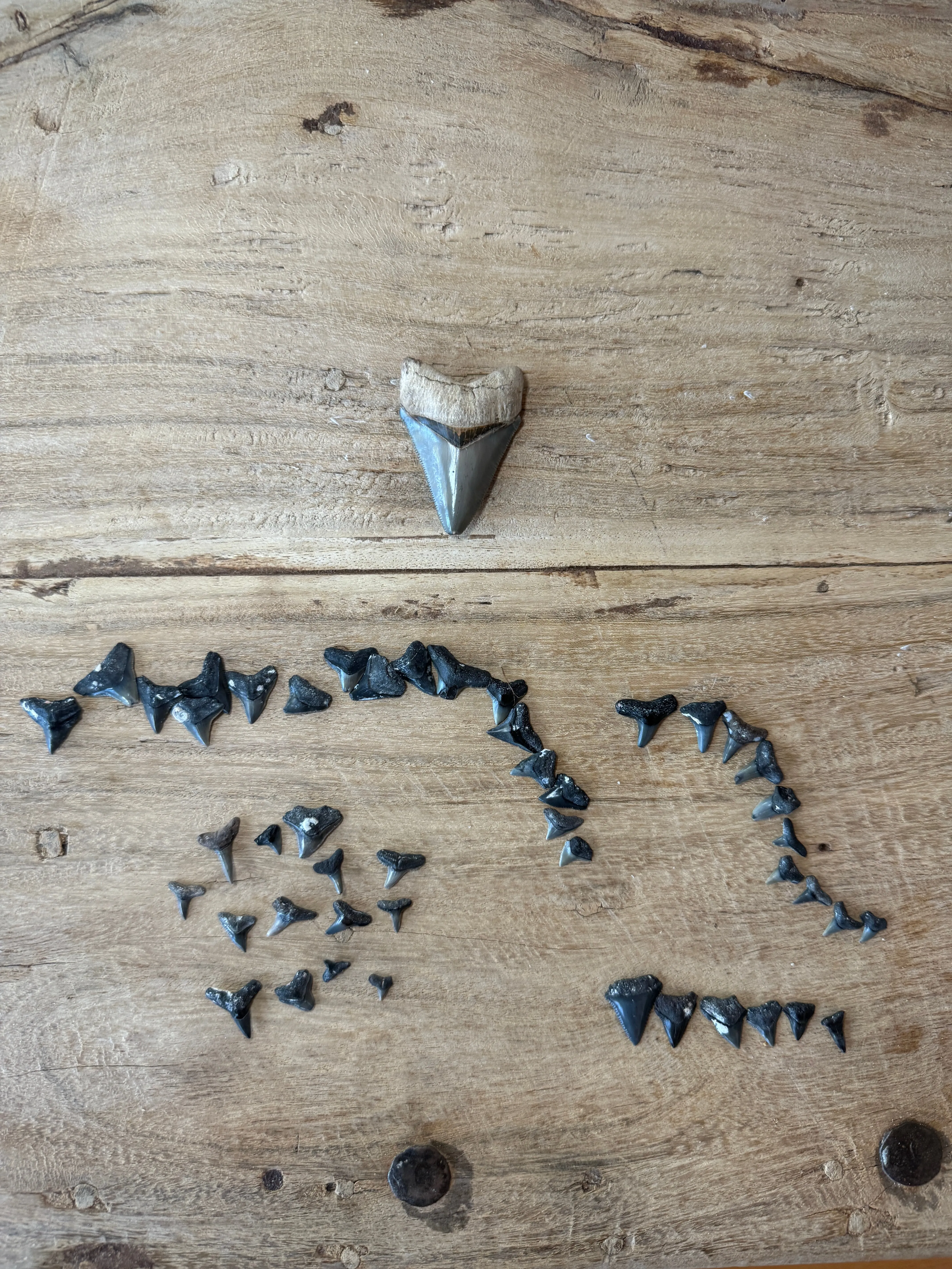 Eternal Titans Pendant (21-26mm)