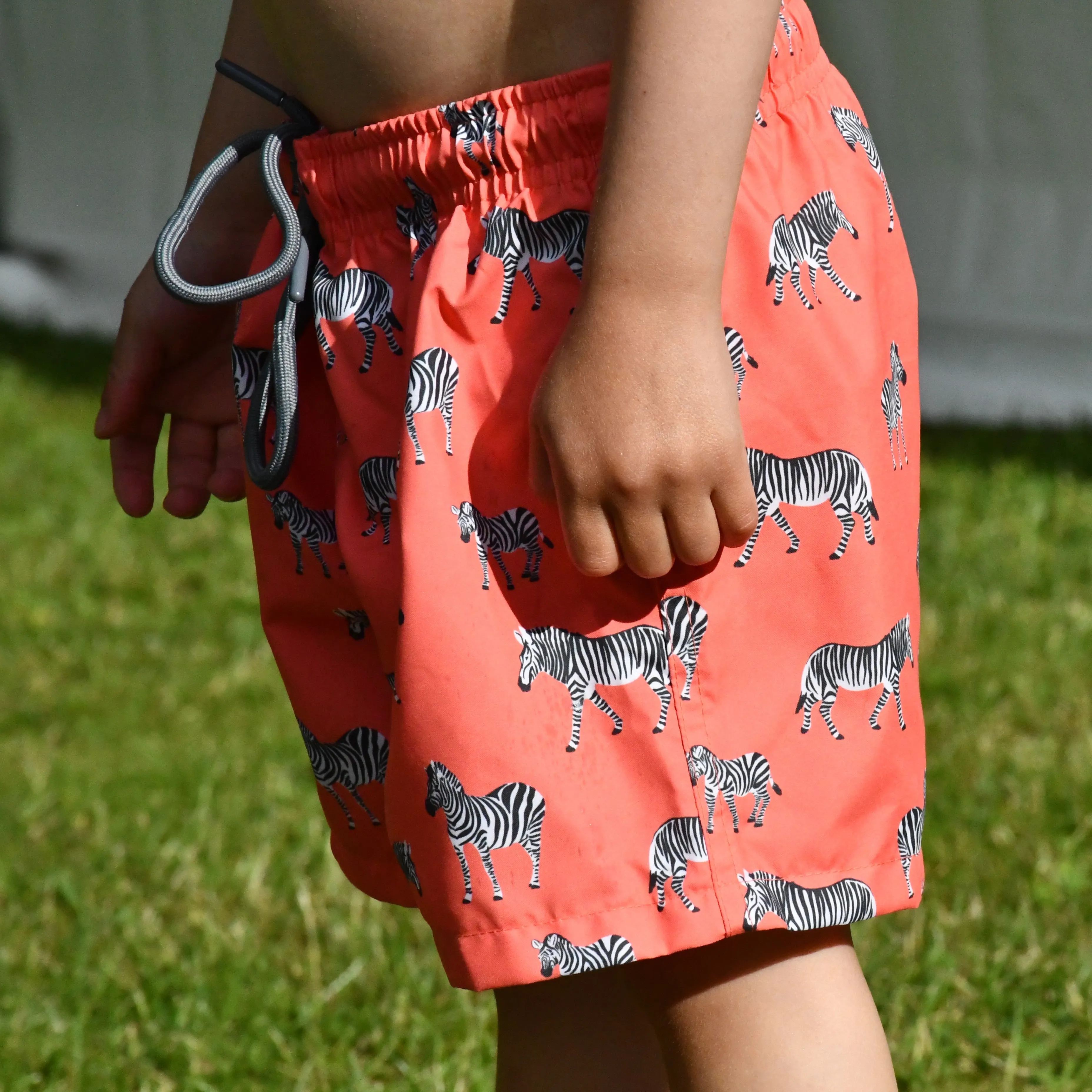 Grevy Swim Shorts