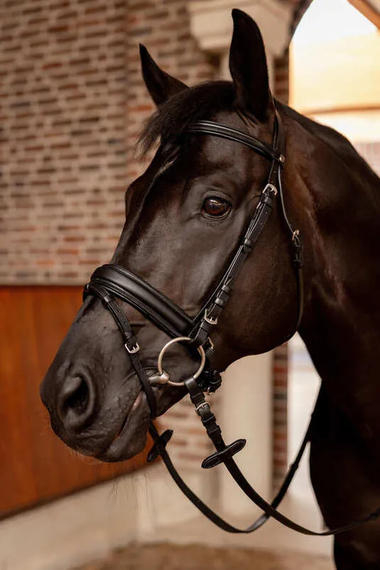 Horze Eternal Gaze Dressage Bridle Black