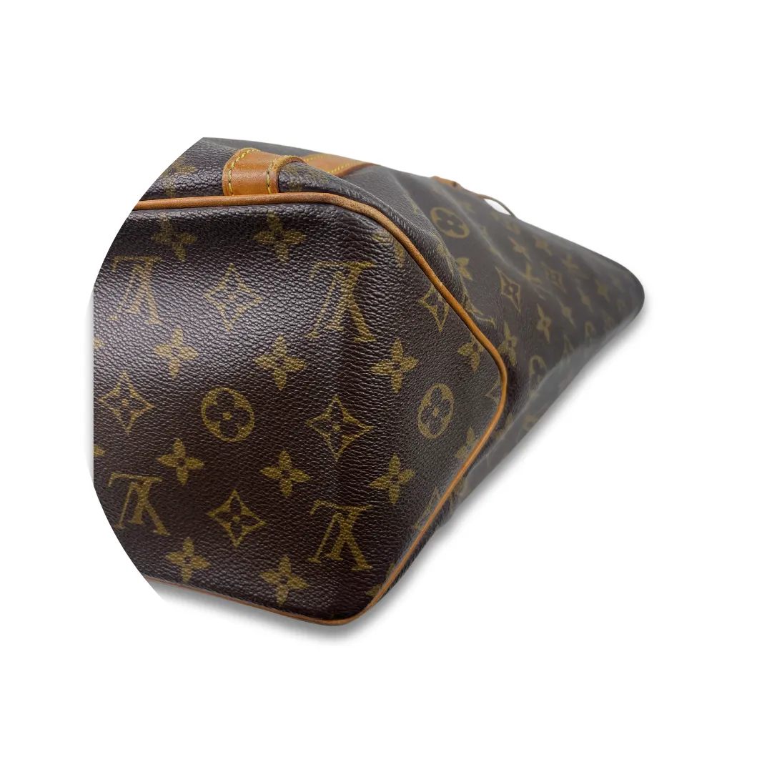 Louis Vuitton Monogram Sac Shopping