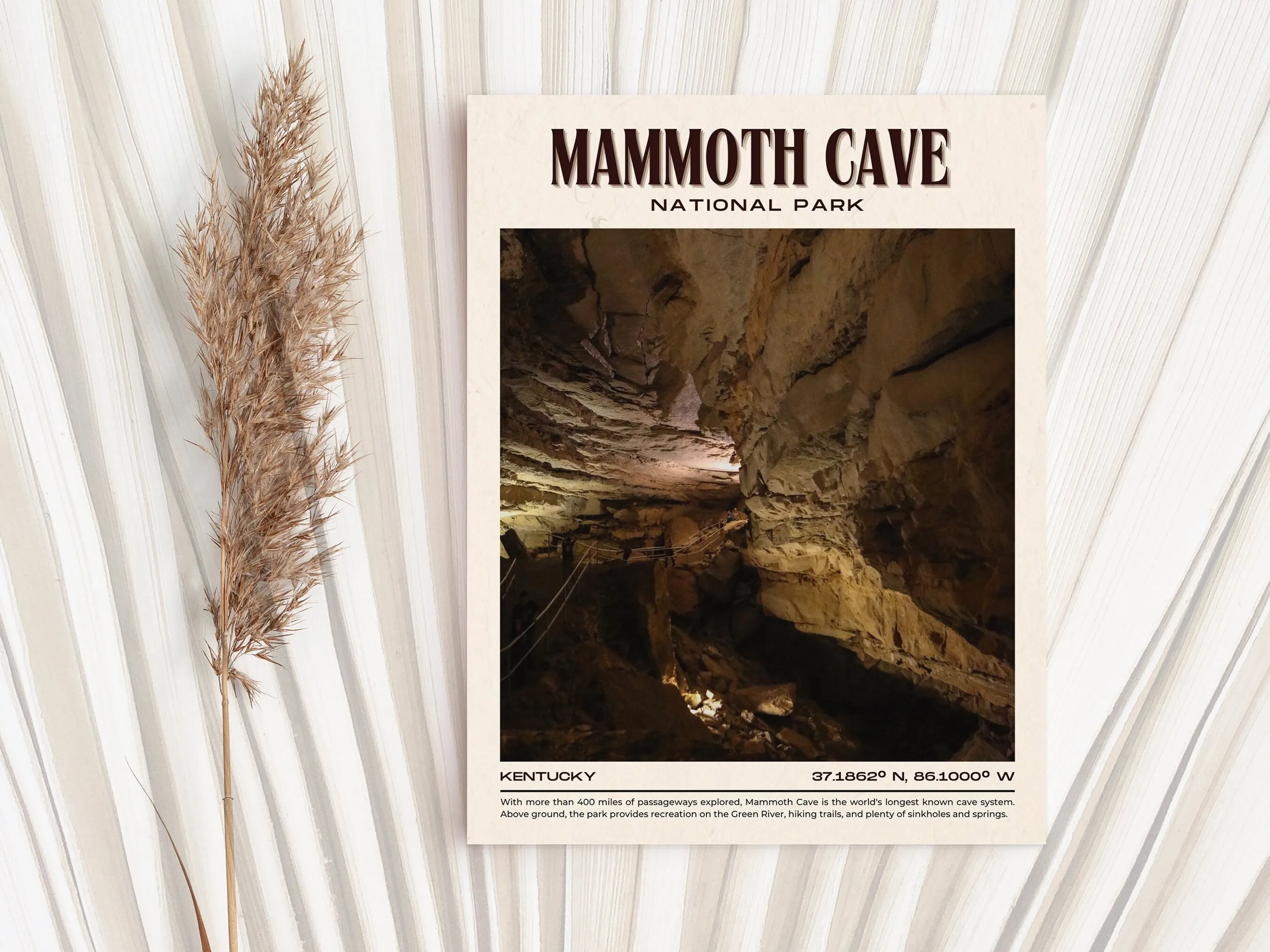 Mammoth Cave Park Vintage Wall Art, Kentucky, USA