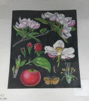 Melissa Shirley 2047 Vintage Apple Blossom