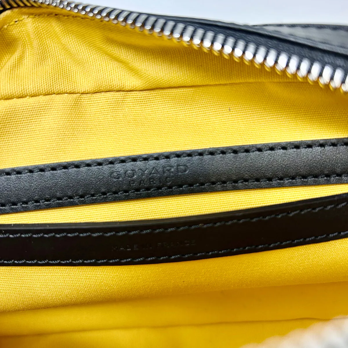 New 2024 Goyard Cap-Vert PM  Bag