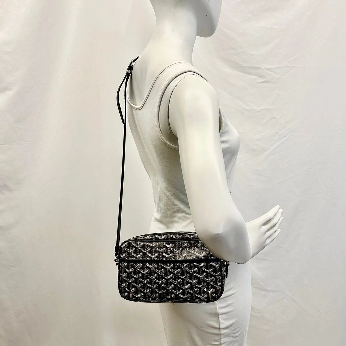 New 2024 Goyard Cap-Vert PM  Bag