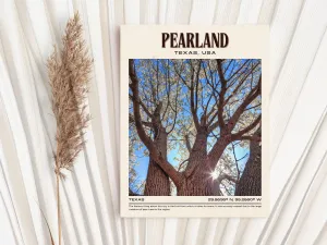 Pearland Vintage Wall Art, Texas, USA