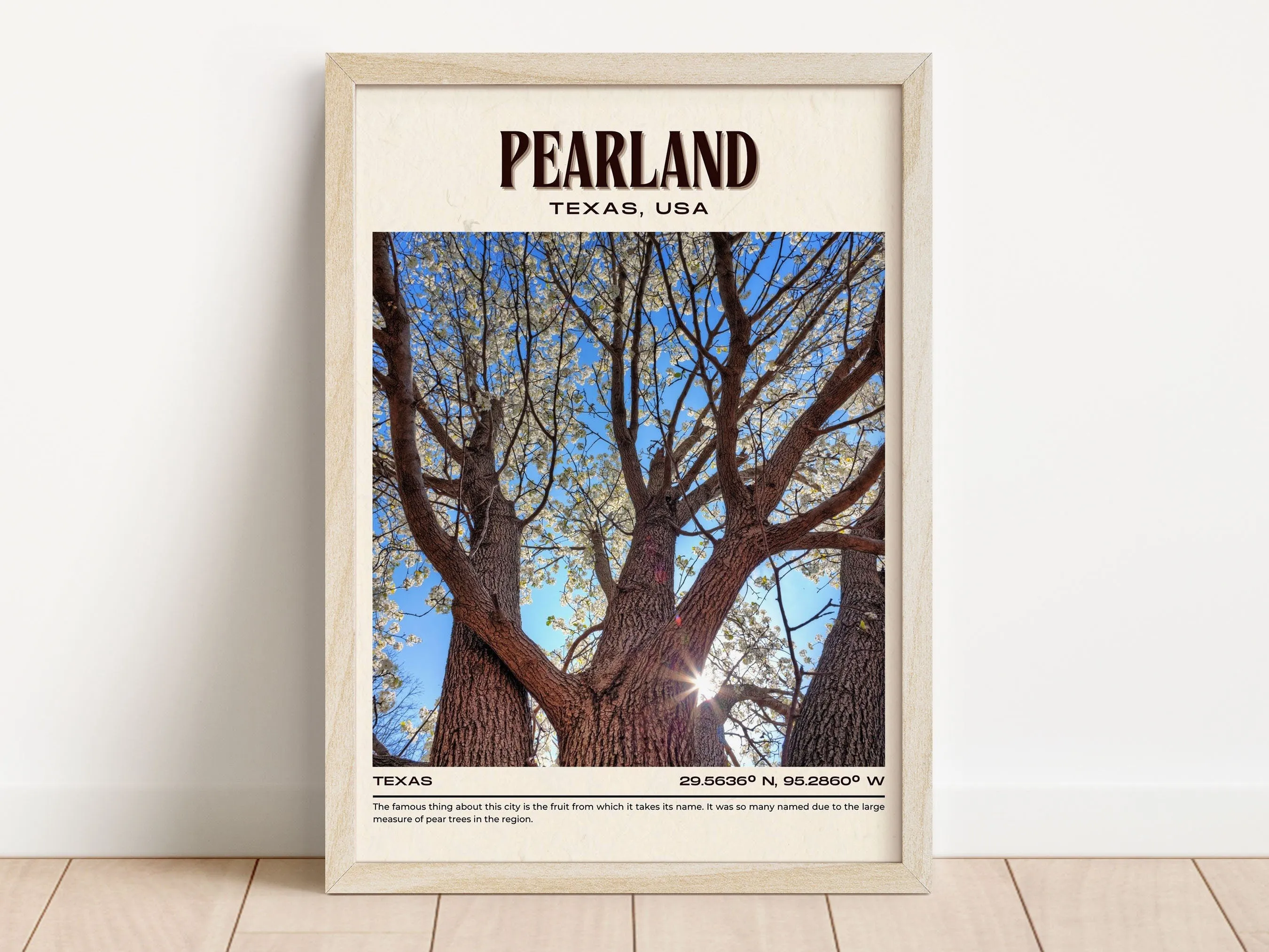 Pearland Vintage Wall Art, Texas, USA