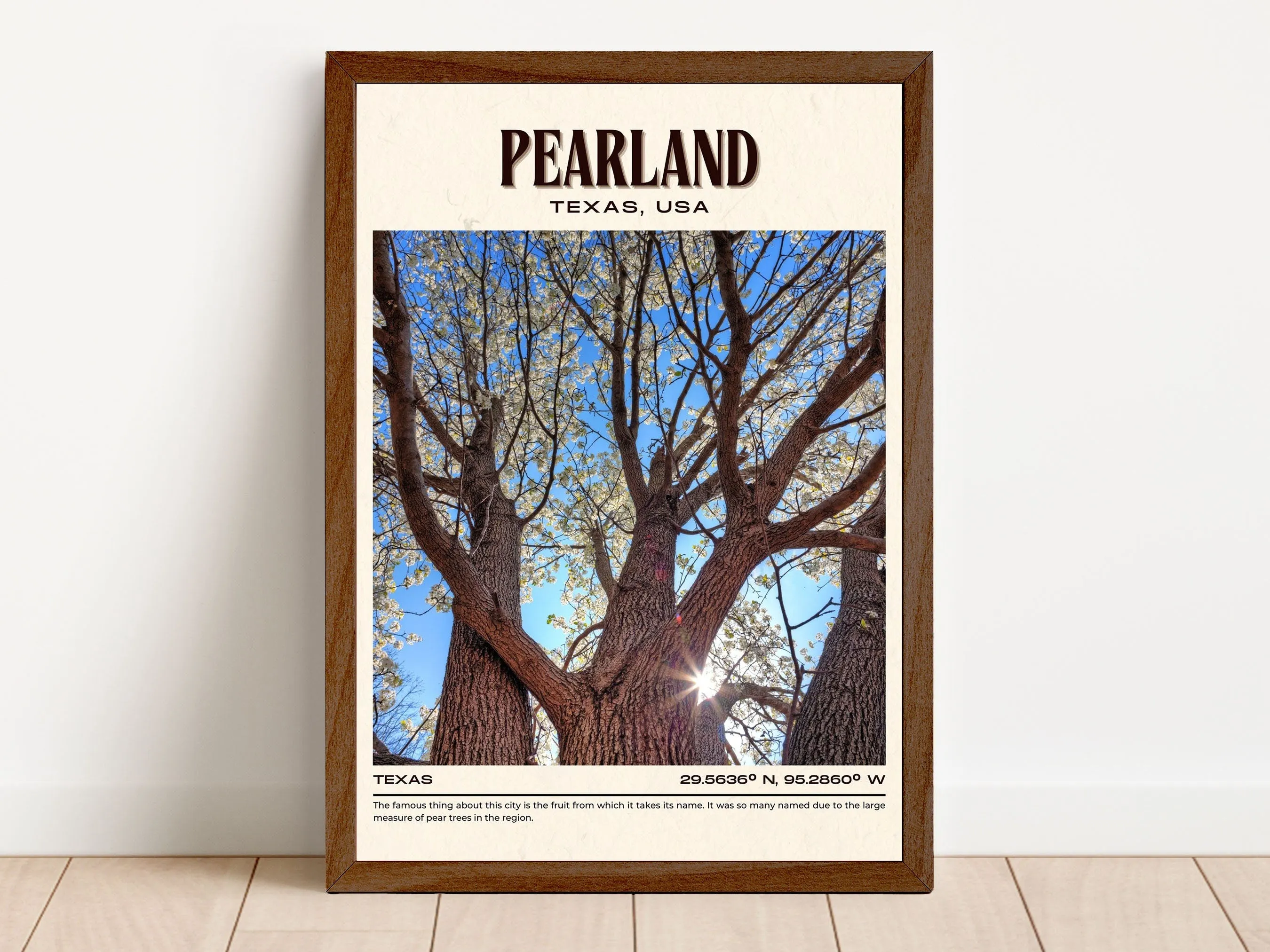 Pearland Vintage Wall Art, Texas, USA