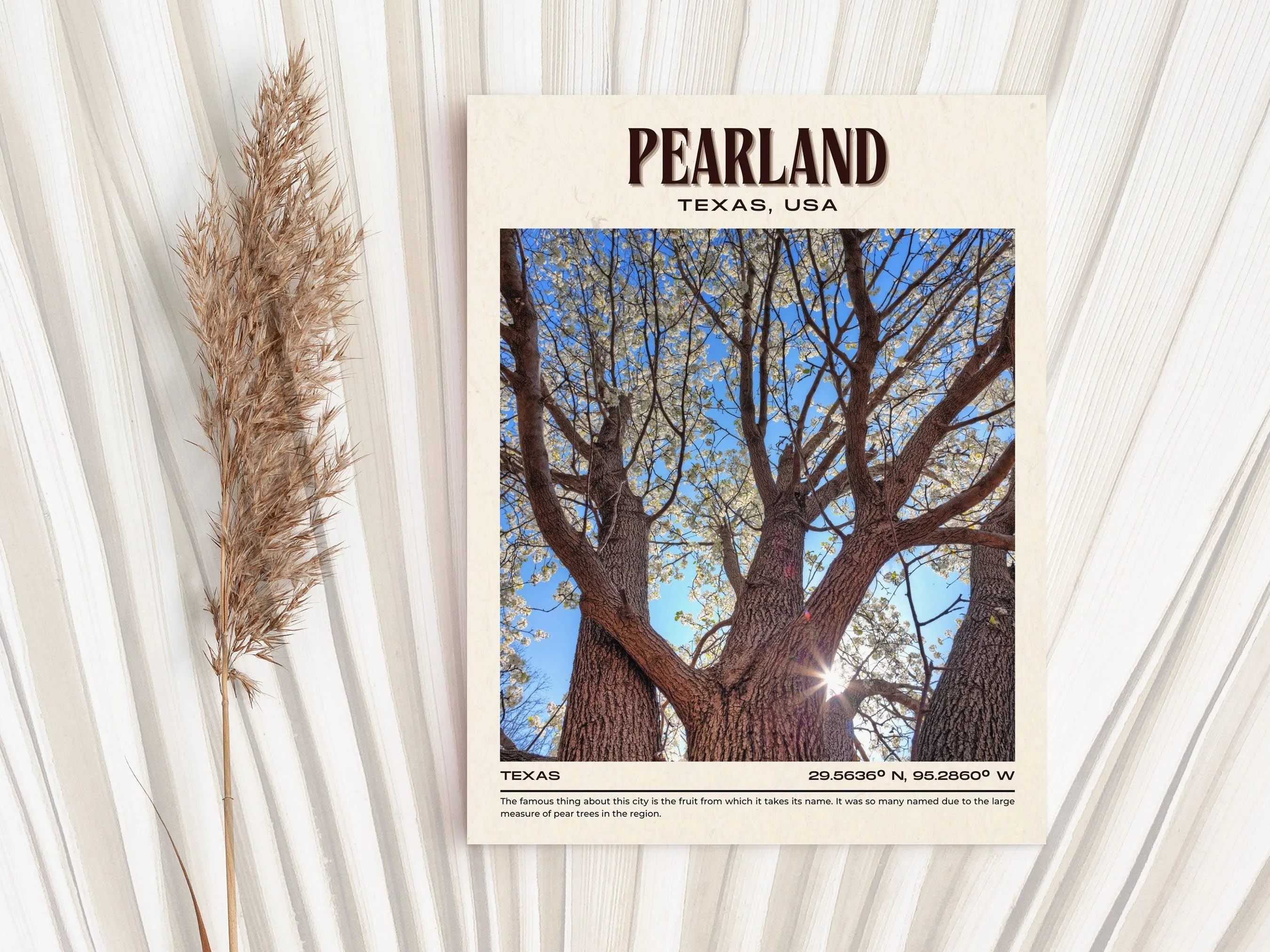 Pearland Vintage Wall Art, Texas, USA