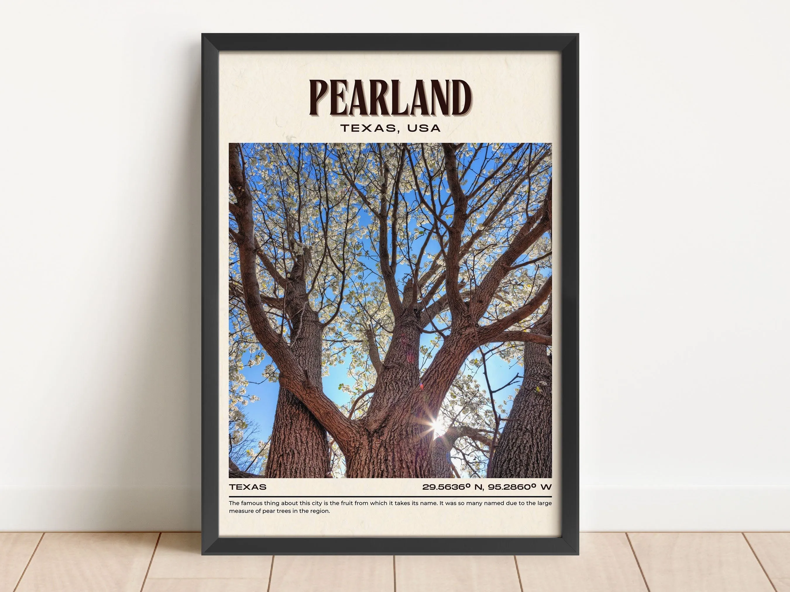 Pearland Vintage Wall Art, Texas, USA