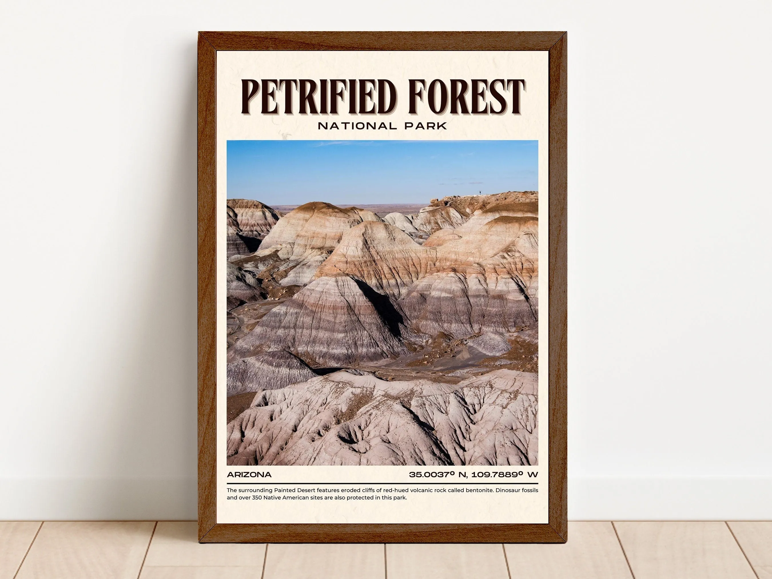 Petrified Forest Vintage Wall Art, Arizona, USA