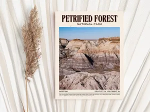 Petrified Forest Vintage Wall Art, Arizona, USA