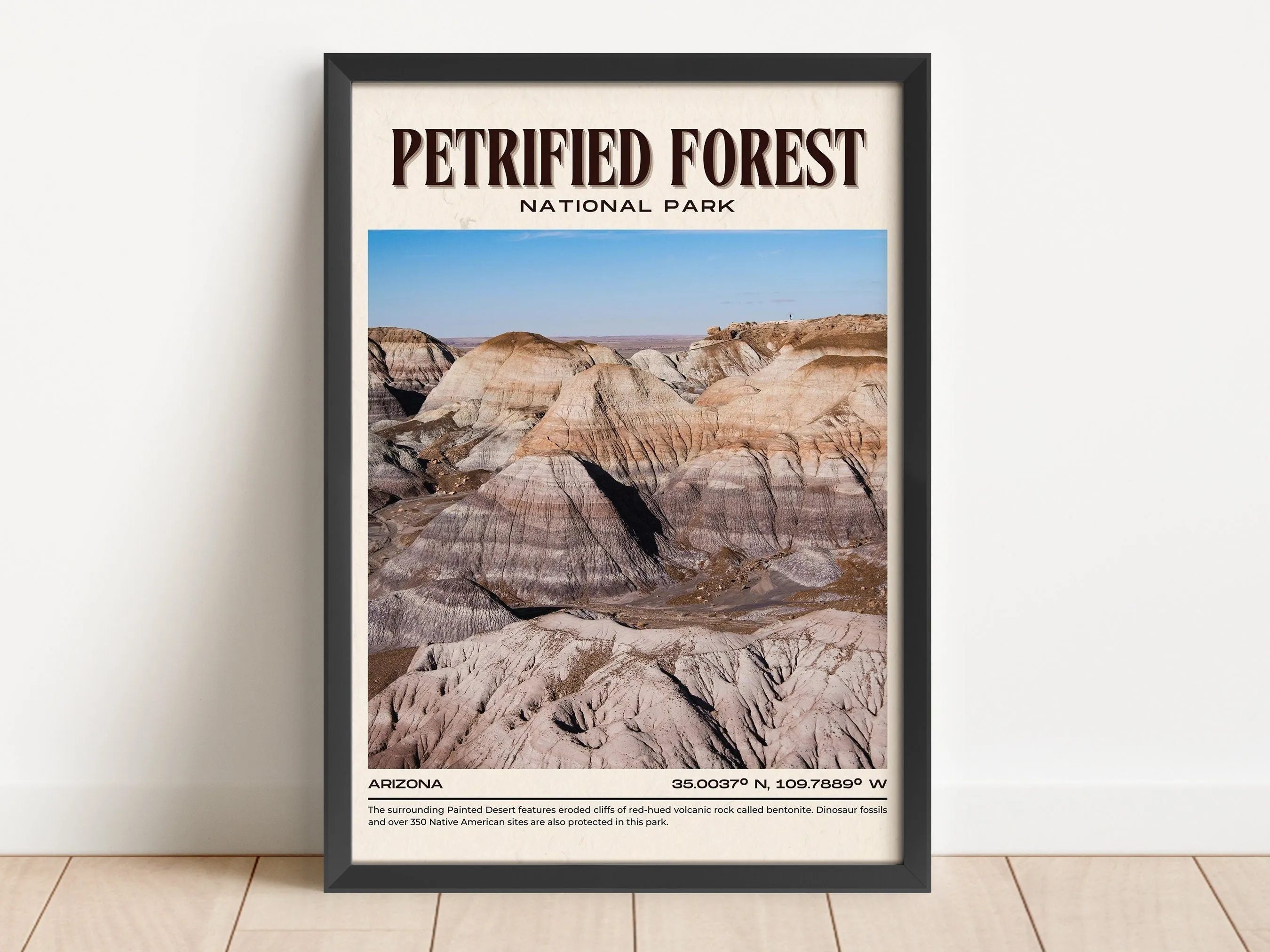 Petrified Forest Vintage Wall Art, Arizona, USA