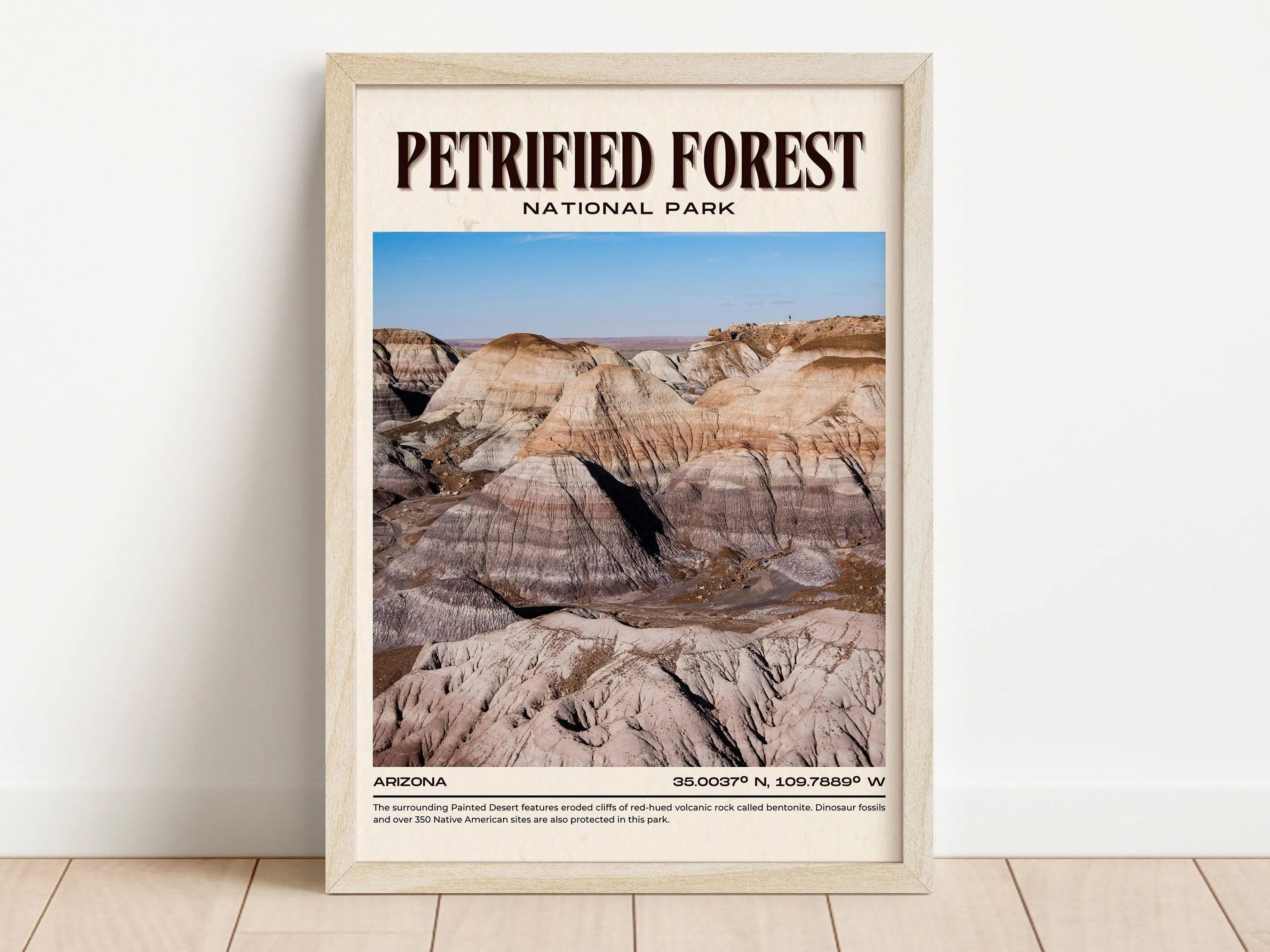 Petrified Forest Vintage Wall Art, Arizona, USA