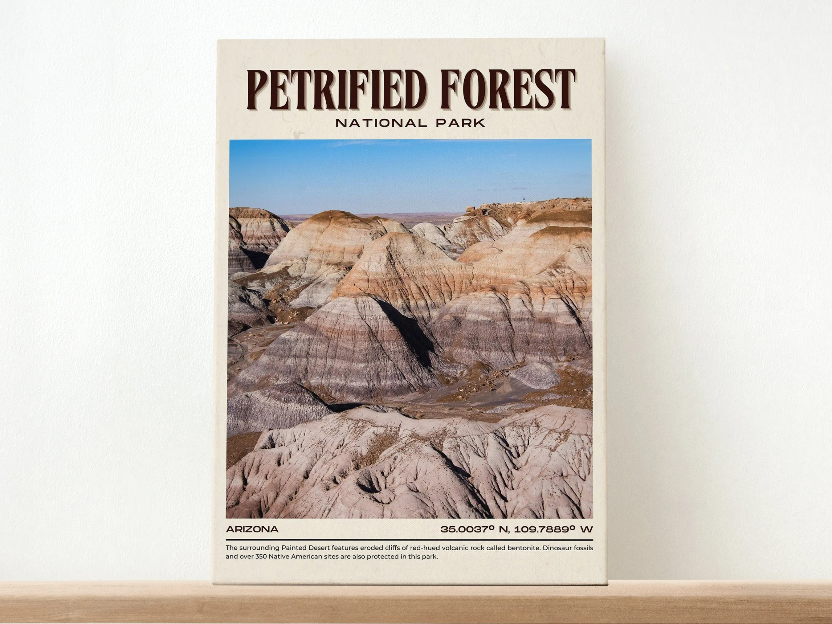 Petrified Forest Vintage Wall Art, Arizona, USA
