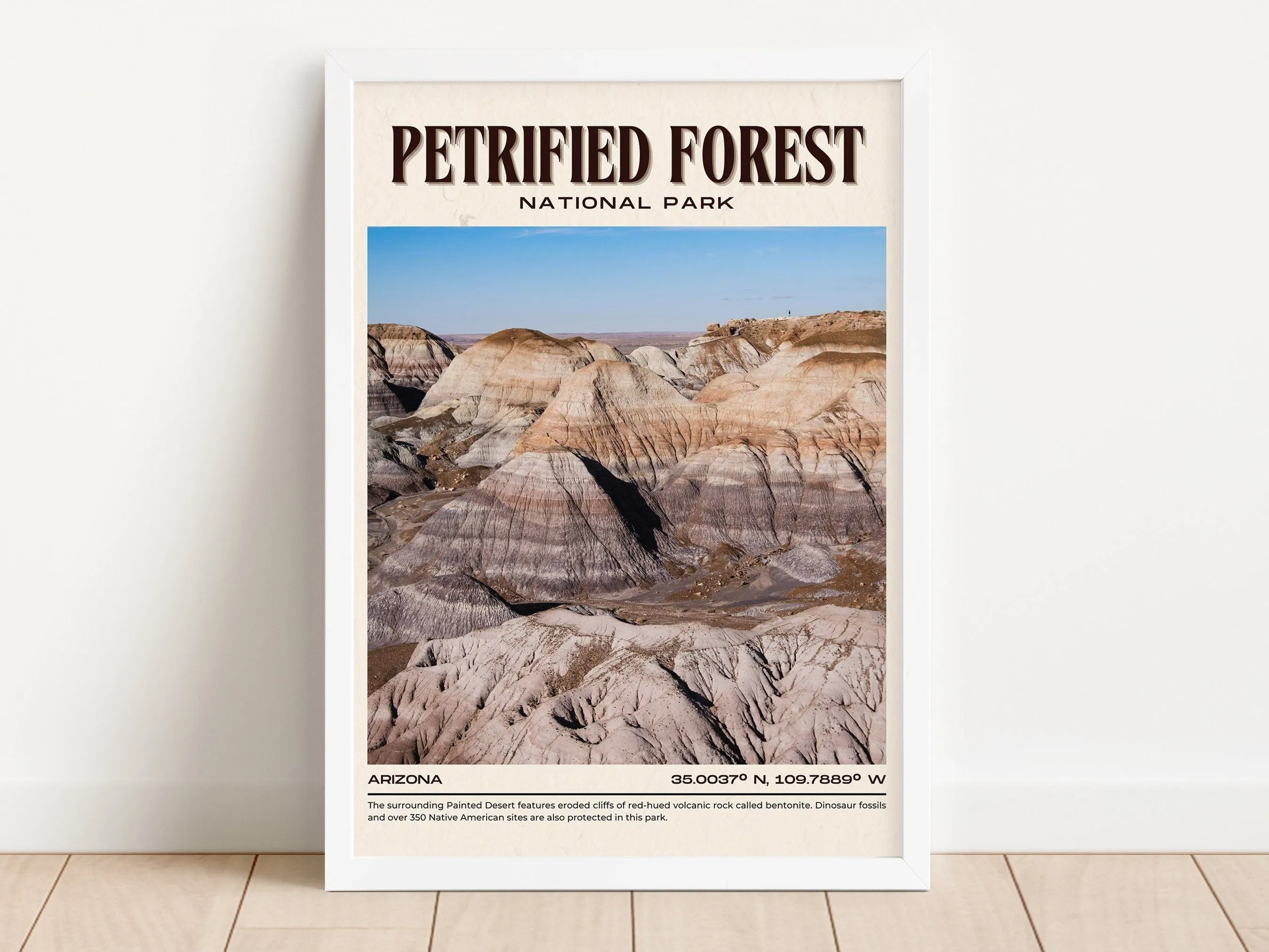 Petrified Forest Vintage Wall Art, Arizona, USA