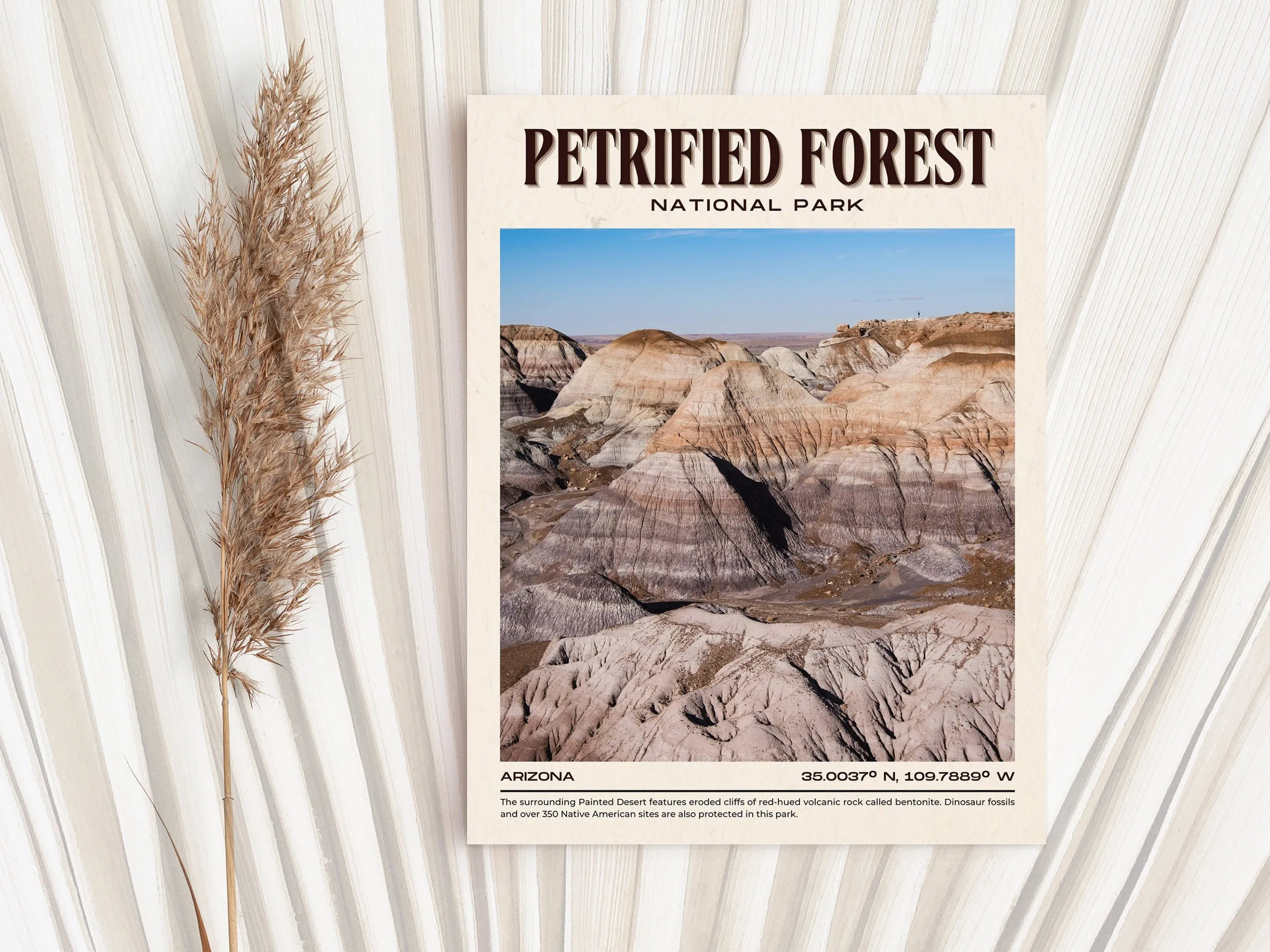 Petrified Forest Vintage Wall Art, Arizona, USA