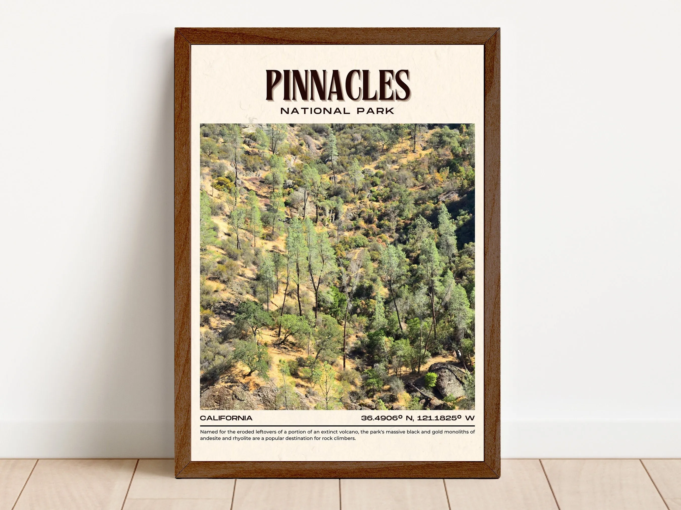 Pinnacles National Park Vintage Wall Art, California, USA