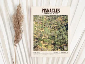 Pinnacles National Park Vintage Wall Art, California, USA