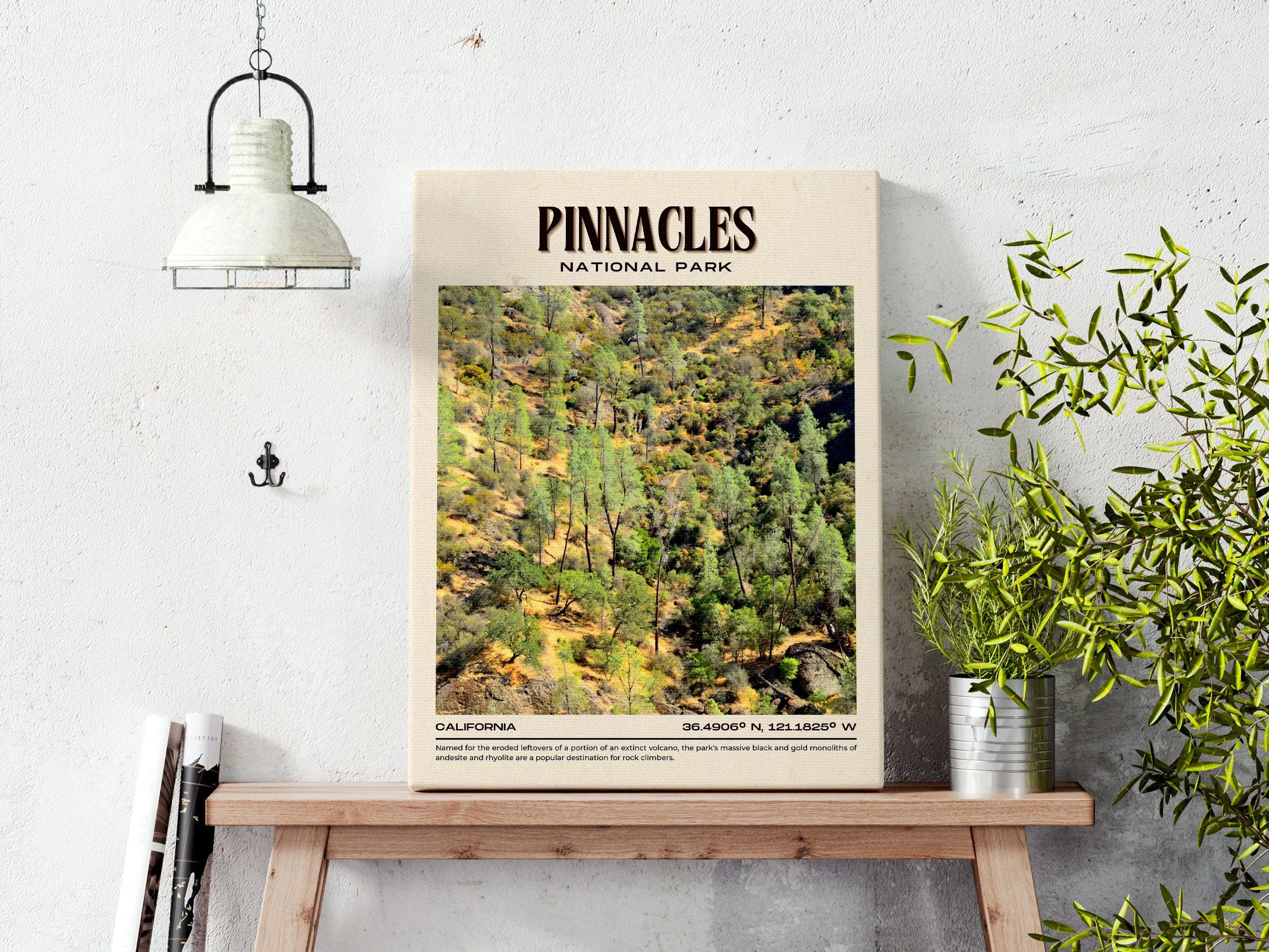 Pinnacles National Park Vintage Wall Art, California, USA