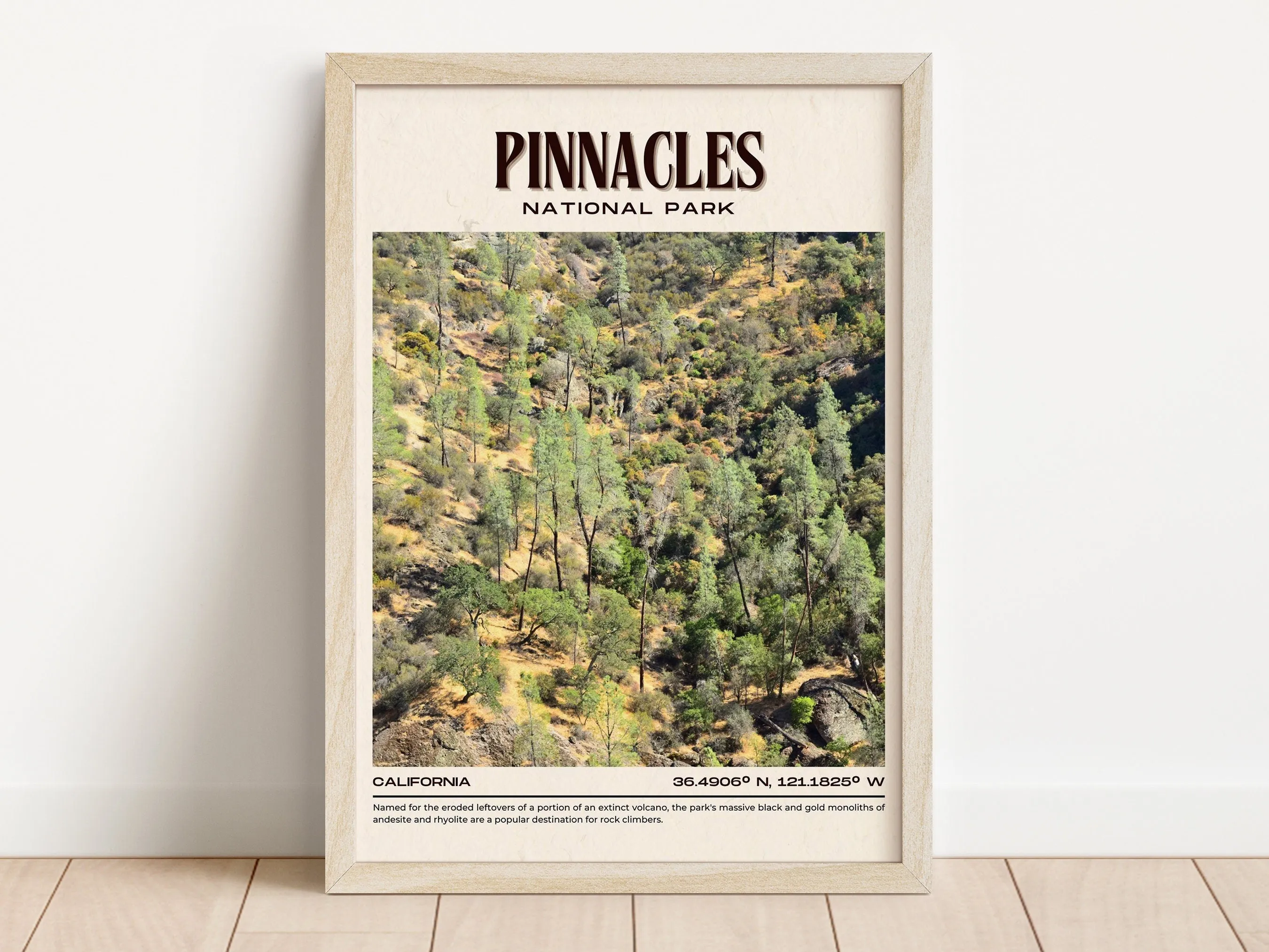 Pinnacles National Park Vintage Wall Art, California, USA