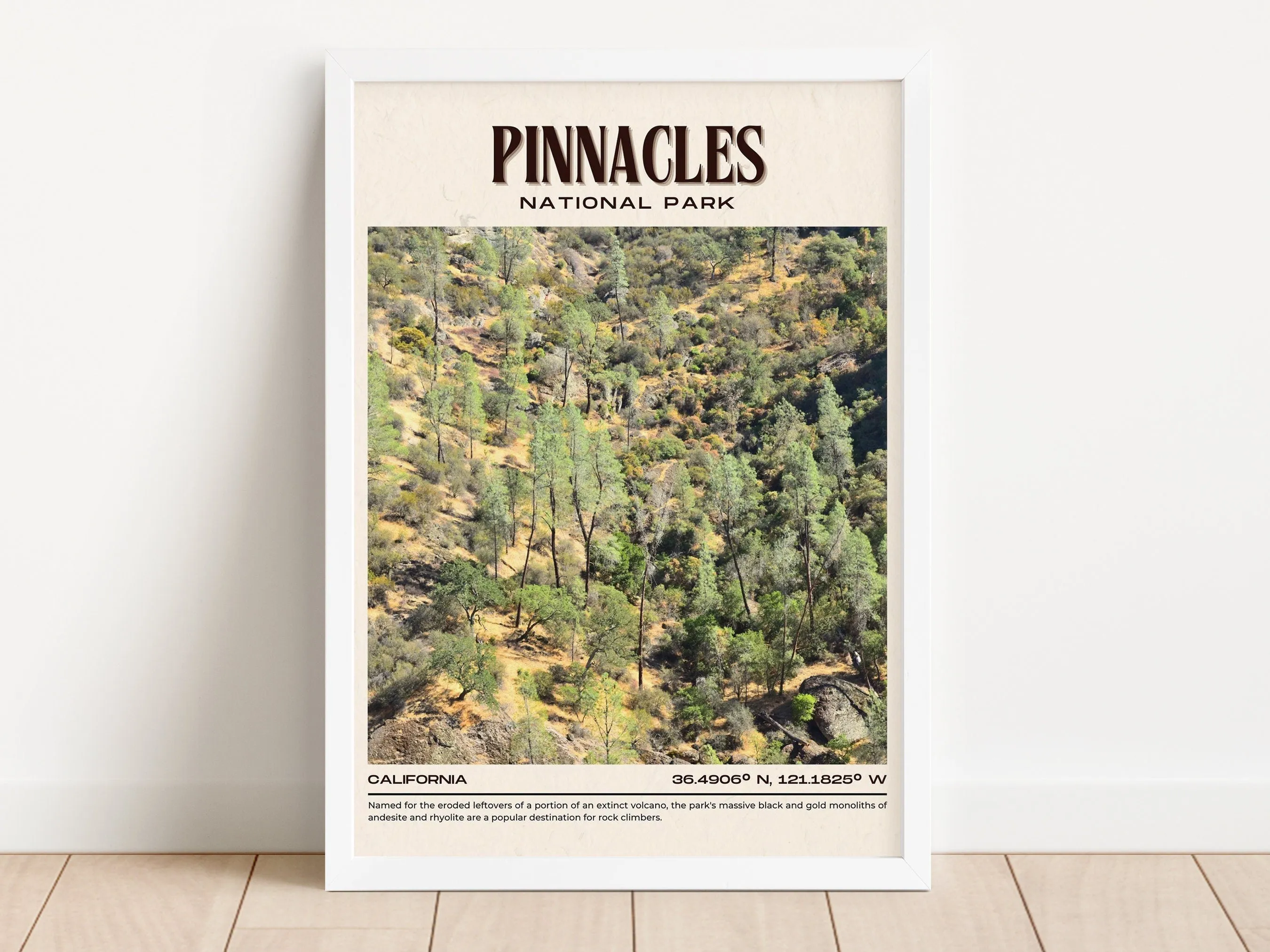 Pinnacles National Park Vintage Wall Art, California, USA