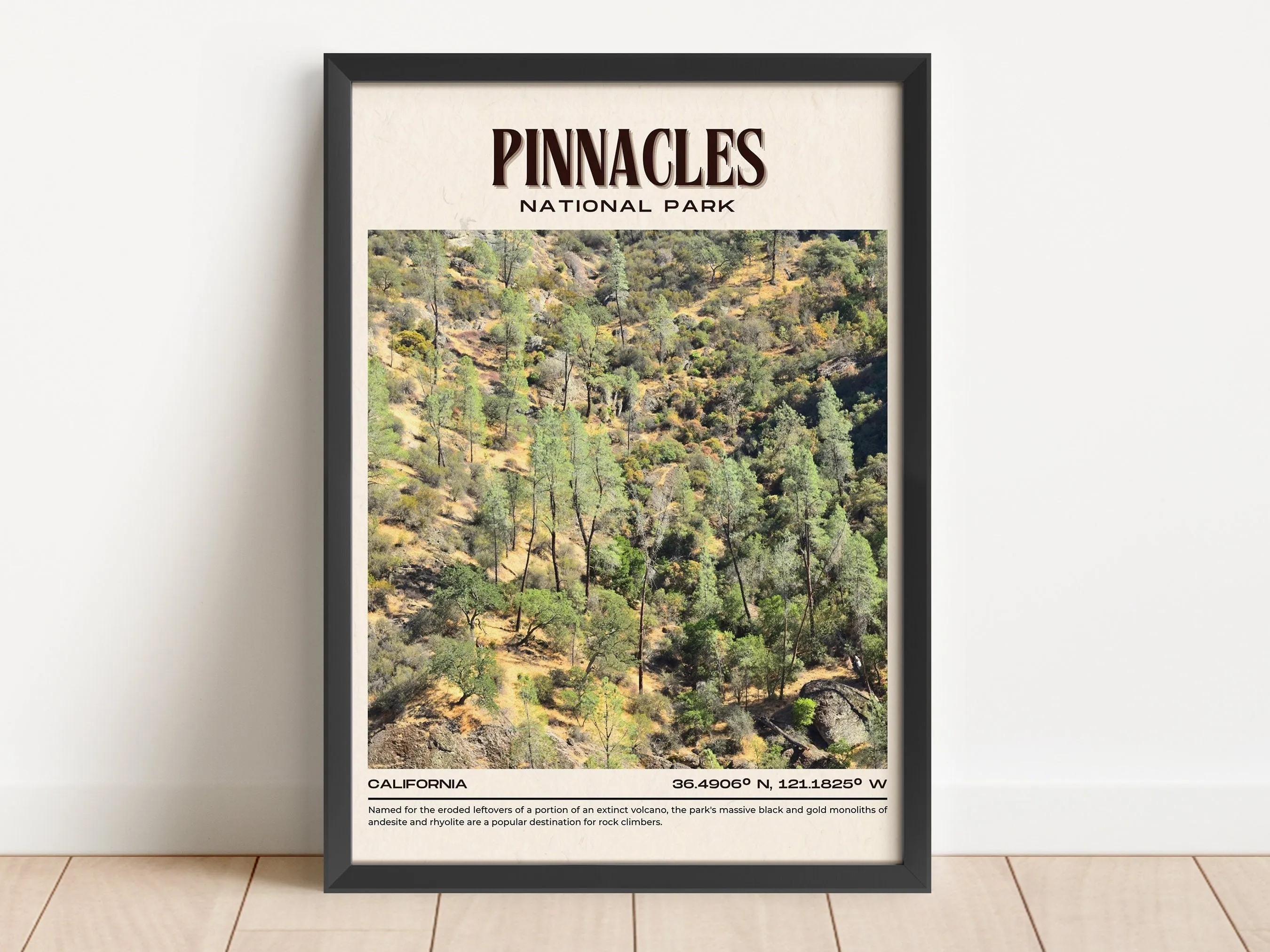 Pinnacles National Park Vintage Wall Art, California, USA