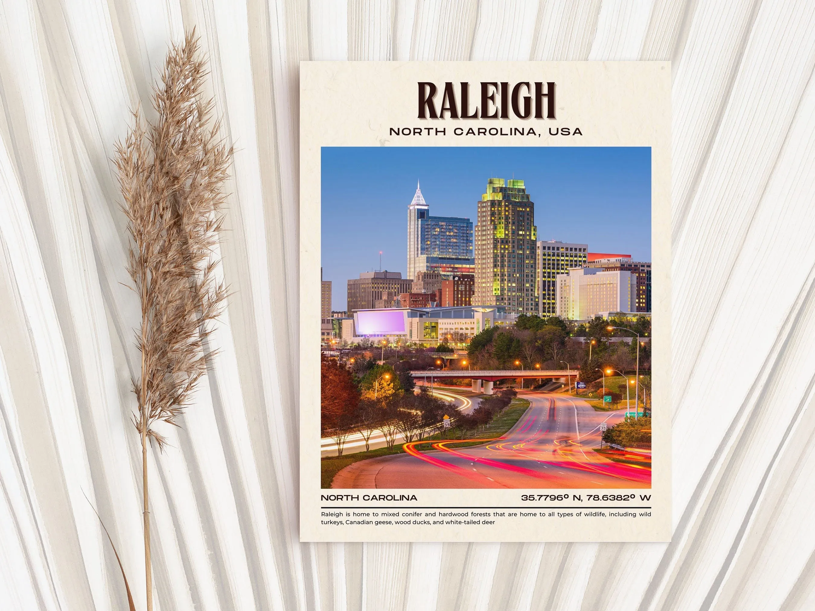 Raleigh Vintage Wall Art, North Carolina, USA